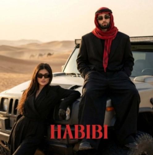 دانلود آهنگ جدید حبیبی از آرتا