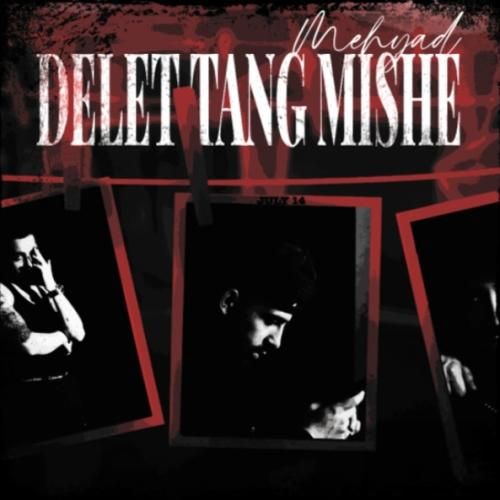 دانلود آهنگ جدید دلت تنگ میشه از مهیاد