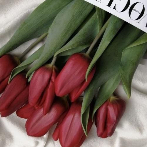 دانلود آهنگ تقصیرو خودم گردن میگیرم میخورم زمینو هی