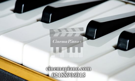 راهنمای جامع خرید پیانو