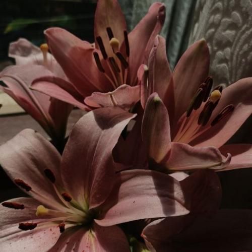 دانلود آهنگ آخر خط شما شروع ماست طلوع خورشید پر فروغه