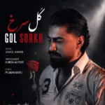 گل سرخ جواد امانی گل سرخ جواد امانی