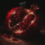 دانلود آهنگ جدید آخرین انار از ناجی