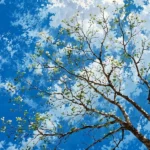دانلود آهنگ جدید شبیم بود یادمه من که قول داد آخرش رفت