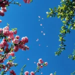 دانلود آهنگ جدید یه تو یه من یه روح یه تن ما کاملیم کنار هم