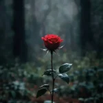 دانلود آهنگ جدید یه چی انگار درست نی کرد روحمو پرو کی